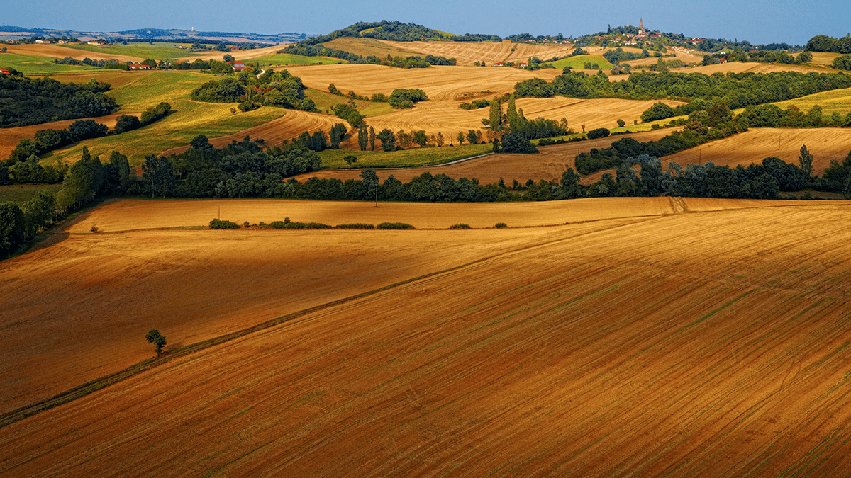 Paysage du gers.